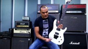 Washburn Parallaxe PXS100ARFRWHM Review