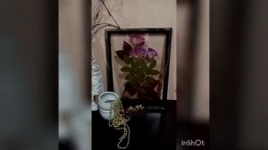 Картина из сухих цветов и листьев