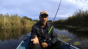 Влияет ли цвет воблера. Какой цвет ловит лучше. Рыбалка на спиннинг.