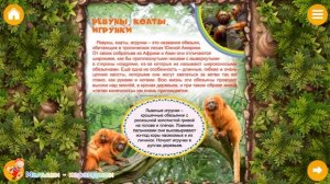 Окружающий мир. Моя первая энциклопедия, "Животные джунглей".