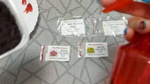 Посев ампельного львиного зева