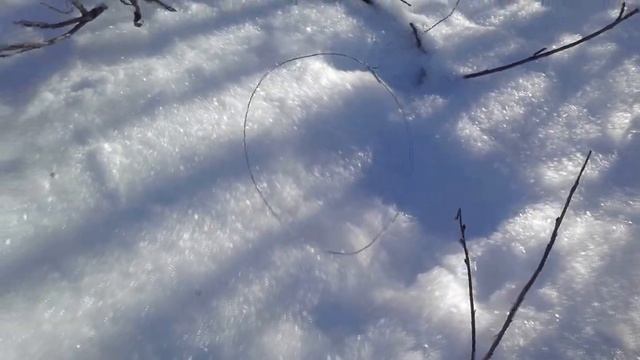 петли зимой на зайца смотреть онлайн