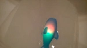 LED Dolphin Water Toy from AliExpress | ЛЕД-дельфин: игрушка для ванны из АлиЭкспресс