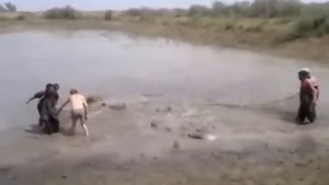 рыбалка бреднем большой улов