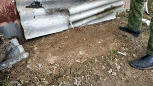 Виноград 2021. Какие гибридные формы винограда я решил посадить.