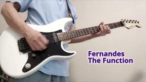 Electric Guitar Sound Showdown ~ Fernandes The Function FST 55 vs Ibanez RG120