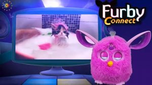 Furby Connect (Ферби Коннект )и милый милый котик поет по русски