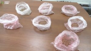 Лабораторный эксперимент от Директ Фарм