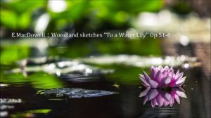 MacDowell : Woodland sketches "To a Water Lily"　ﾏｸﾀﾞｳｪﾙ：《森のｽｹｯﾁ》より 「水蓮に寄す」