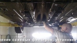 Удаление и программное отключение сажевого Renault Scenic. Москва.