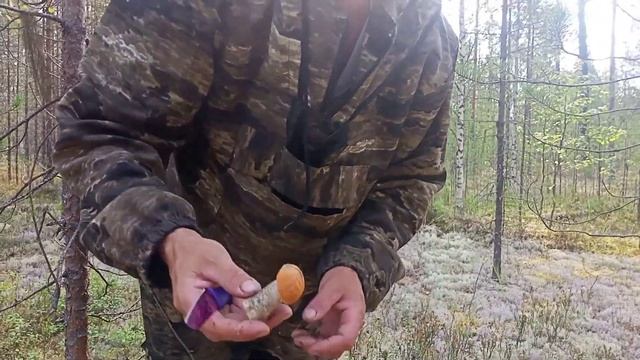 с семьёй за грибами смотреть онлайн