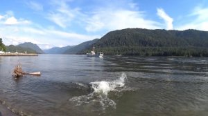 Телецкое озер. Купание