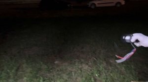 VIPER ZOOM ВСЕ НОВИНКИ BILED LENS ИЮЛЬ 2023 КАК СВЕТЯТ НОЧЬЮ 10 ТОПОВЫХ БИЛЕД ЛИНЗ #lazer #biled