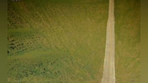 какая история у дримкора? какое начало? Всё просто #level #backrooms #dreamcore #level0 #sun #рек