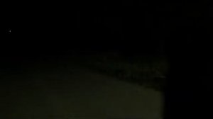 Красная плесень тёмная ночь (2014 г.)