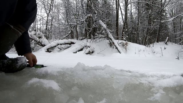 За хариусом по бобриным плотинам. День второй. "-Их там миллион что ли!?" смотреть онлайн
