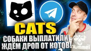 CATS - тапалка в телеграмме по типу DOGS. Как получить бесплатный аирдроп