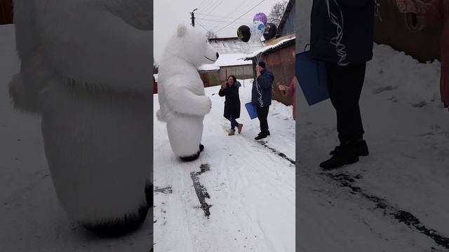 В день рождения поздравления от нашего мишки можно ждать в любой момент 🎂🕺🎉#белыймедведь #мишка