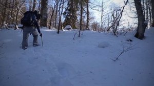 Рождественский снегоступинг к урочищу Шабашха (через гору Мамзышха), Абхазия