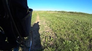 100 ПРОЦЕНТНЫЙ РАБОЧИЙ МАНОК НА ПЕРЕПЕЛА