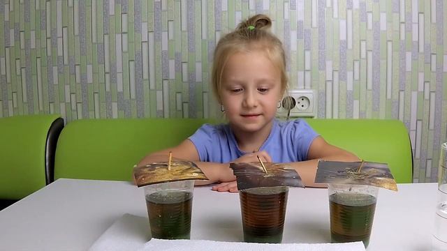 Кристалл из железного купороса. Crystal of iron sulfate. смотреть онлайн