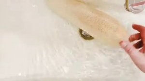 МОЧАЛКА ИЗ ЛЮФЫ