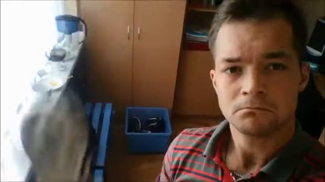 КАК Я РАБОТАЛ УЧИТЕЛЕМ В ШКОЛЕ смотреть онлайн