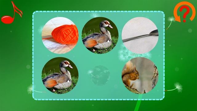 Развивающая игра мультик для детей Внимание и память смотреть онлайн