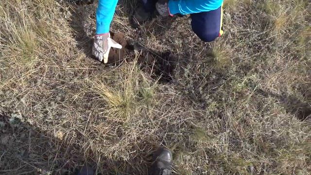 ГЕОРГИЕВСКИЙ КРЕСТ и 50 копеек Николая 2 / Не тронутая поселуха на острове. 18.08.19 смотреть онлайн