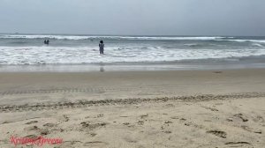 Cardiff State Beach California||Relaxing Day #ocean #beach #view