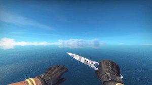 Skeleton Knife Urban Masked | CSGO Skin Showcase