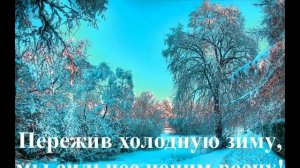 Очень красивое видео про зиму! Волшебные, зимние пейзажи!