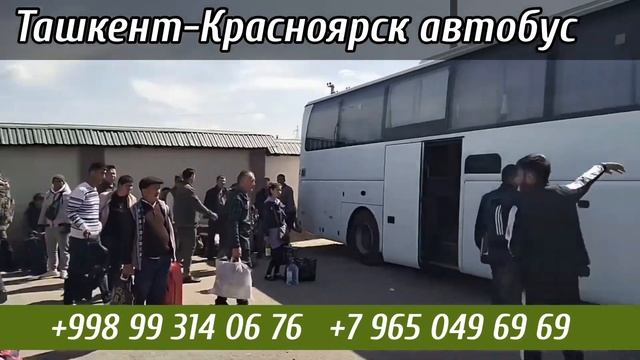 Ташкент Красноярск автобус￼ Ташкент Москва автобус Ташкент Новосибирск автобус