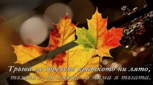 Засентябрило - Николай Расторгу́ев и София Ротару