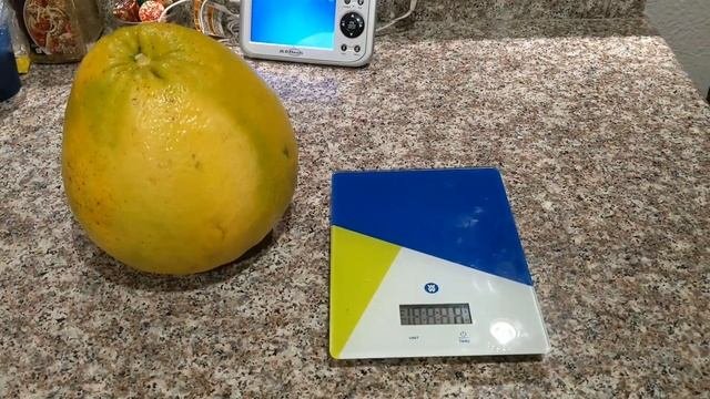 Грейпфруты сорта Melgold урожай 2022 года #грейпфрут #be Estgrapefruit #цитрус