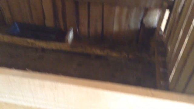 Свинарник-закута с размерами своими руками для 20 поросят. смотреть онлайн