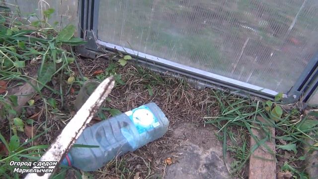 Огород в ноябре 2019. Что делать с сидератами. смотреть онлайн