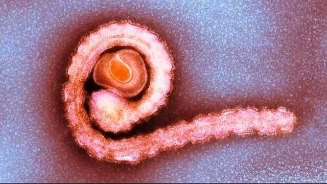 Святая полынь против биологического оружия смотреть онлайн