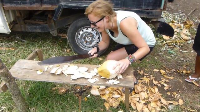 HOW TO OPEN COCONUT WITH MACHETE / HONDURAS смотреть онлайн