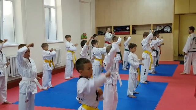 Армавир тхэквондо ИТФ смотреть онлайн