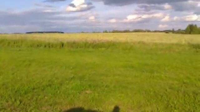 Охота на медведя на овсах с копны сена смотреть онлайн