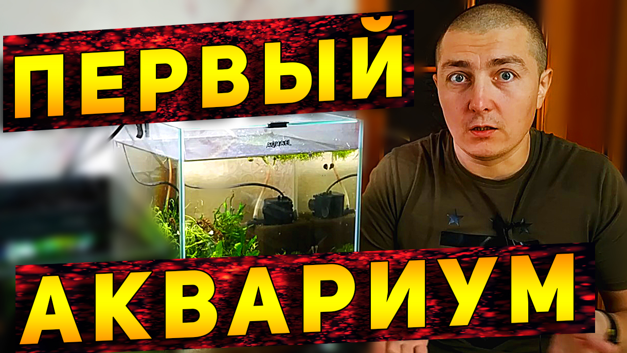 Первый АКВАРИУМ! С чего начать! смотреть онлайн