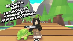 УСПЕЙ😱ВВЕДИ КОД И ПОЛУЧИ…НОВОЕ ОБНОВЛЕНИЕ В АДОПТ МИ! НОВЫЕ КОДЫ ADOPT ME ПРОКАЧКА С НУЛЯ ROBLOX!