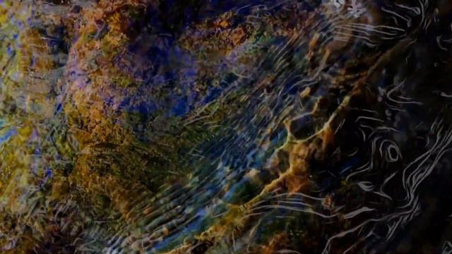 'Etude Fantasy' John Corigliano Shoko Inoue, Piano смотреть онлайн