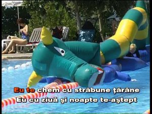 Gheorghe Țopa: "Lacrimă amară".