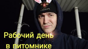 Рабочий день Питомник Добрый кролик