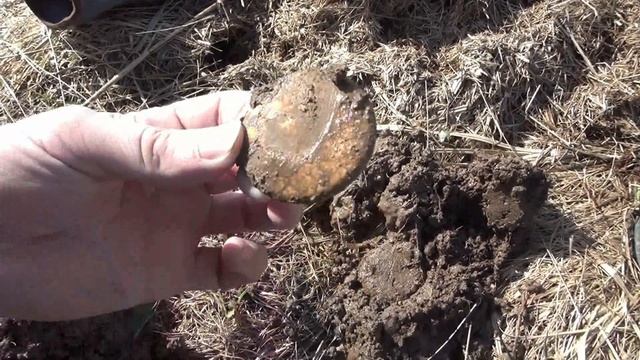 коп монет с хр орх, первый екатерининский пятак находки прут смотреть онлайн