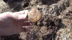 коп монет с хр орх, первый екатерининский пятак  находки прут