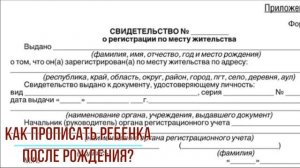 Как прописать ребенка после рождения?