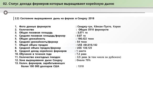 СИСТЕМЫ ВЫРАЩИВАНИЕ ДЫНИ В ТЕПЛИЦЫ БЕЗ ОТОПЛЕНИЯ(ЗИМОЙ)